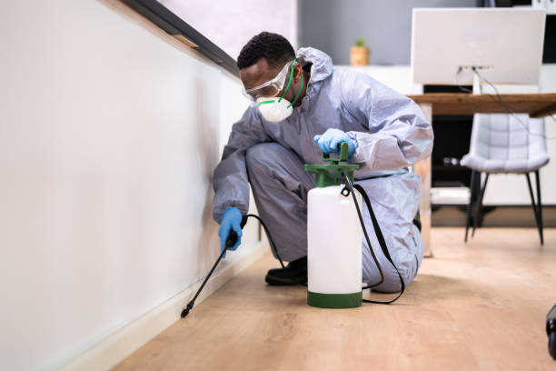 Best Fumigation Services  in Skidway Lake, MI